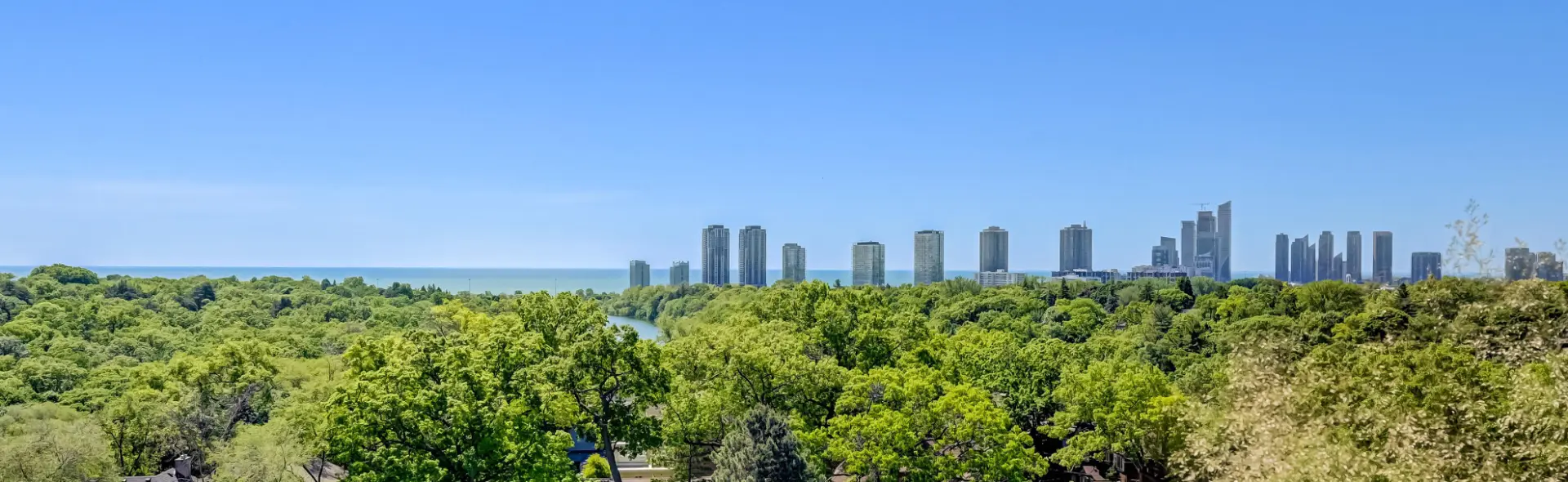 Panoramic view of High Park treetops with the Toronto skyline and Lake Ontario beyond